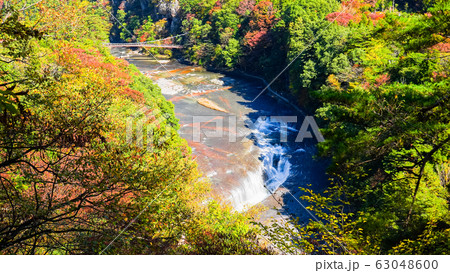 吹割の滝 (秋):第一観瀑台より 吹割の滝 (秋):第一観瀑台より 63048600