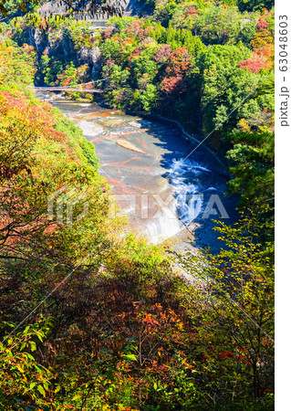 吹割の滝 （秋）：第一観瀑台より 63048603