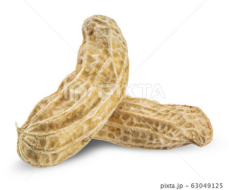 peanut isolated on white clipping path 63049125