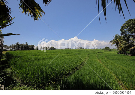 青空と草原 63050434