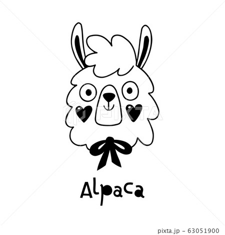 Avatar Cute Face Alpaca Portrait Vector のイラスト素材