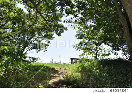 【登山イメージ】森を抜けると快晴の青空 【登山イメージ】森を抜けると快晴の青空 63052844