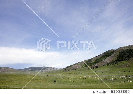 モンゴルの風景 モンゴルの風景 63052896
