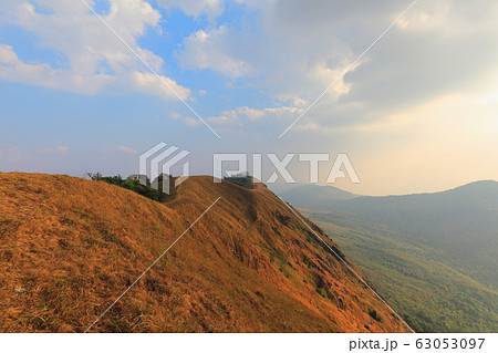 yellow field on top of the mountain at Monjong yellow field on top of the mountain at Monjong 63053097