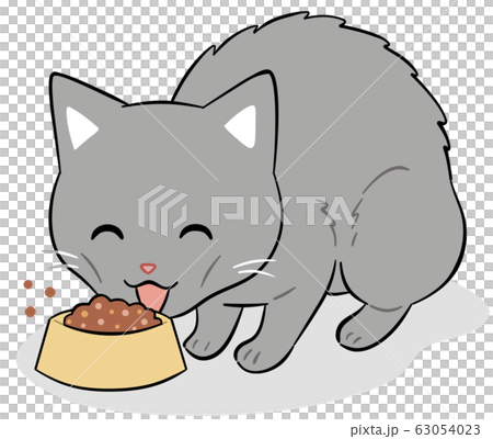 食欲旺盛な痩せ気味の猫のイラスト素材