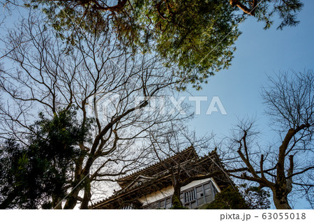 福井県　丸岡城（現存する日本最古の天守閣）2020年3月上旬 63055018