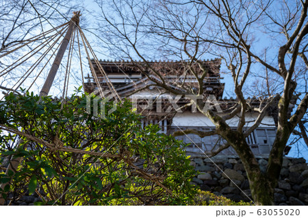 福井県 丸岡城(現存する日本最古の天守閣)2020年3月上旬 福井県 丸岡城(現存する日本最古の天守閣)2020年3月上旬 63055020