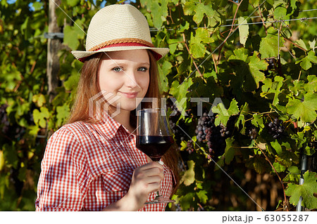 pretty young woman harvesting grapes 63055287