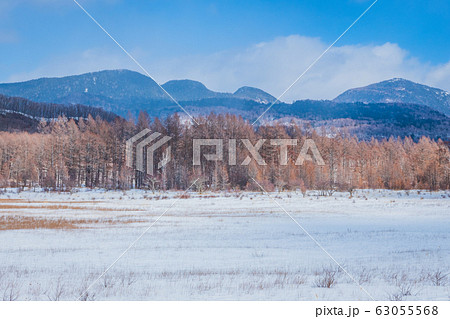 戦場ヶ原の貴婦人 63055568