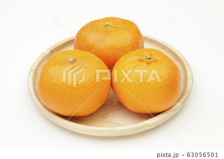 甘平（かんぺい） 63056501