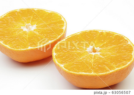 甘平（かんぺい） 63056507