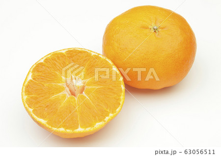 甘平（かんぺい） 63056511