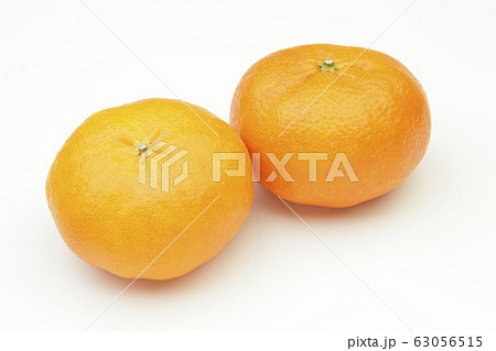 甘平（かんぺい） 63056515