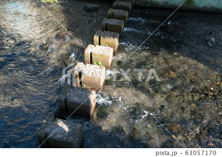 清流と飛び石 63057170