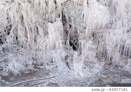 樹氷 樹氷 63057181