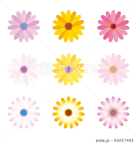 可愛いアフリカンデージーのアイコンセットのイラスト素材
