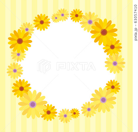 可愛いアフリカンデージーの花輪フレーム 可愛いアフリカンデージーの花輪フレーム 63057410