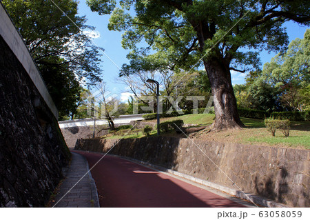 熊本市　武蔵塚公園（宮本武蔵ゆかりの緑豊かな公園） 63058059