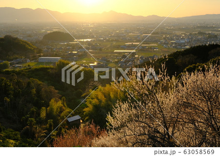 梅と奈良盆地の夕景(奈良県桜井市) 梅と奈良盆地の夕景(奈良県桜井市) 63058569