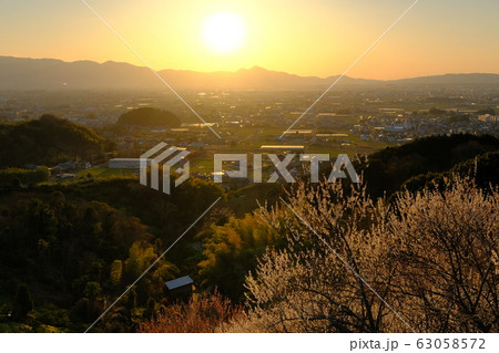 梅と奈良盆地の夕景(奈良県桜井市) 梅と奈良盆地の夕景(奈良県桜井市) 63058572