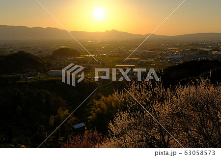 梅と奈良盆地の夕景（奈良県桜井市） 63058573