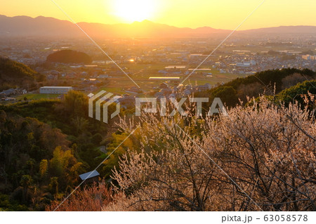 梅と奈良盆地の夕景(奈良県桜井市) 梅と奈良盆地の夕景(奈良県桜井市) 63058578