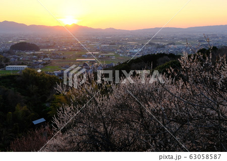 梅と奈良盆地の夕景(奈良県桜井市) 梅と奈良盆地の夕景(奈良県桜井市) 63058587