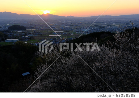 梅と奈良盆地の夕景(奈良県桜井市) 梅と奈良盆地の夕景(奈良県桜井市) 63058588