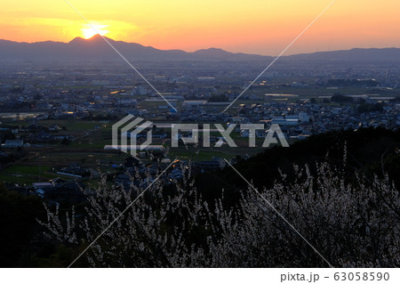 梅と奈良盆地の夕景（奈良県桜井市） 63058590