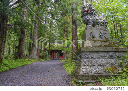 戸隠神社 奥社 戸隠神社 奥社 63060752