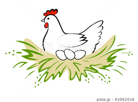 Hen Incubate Eggs In The Nest On White Background のイラスト素材