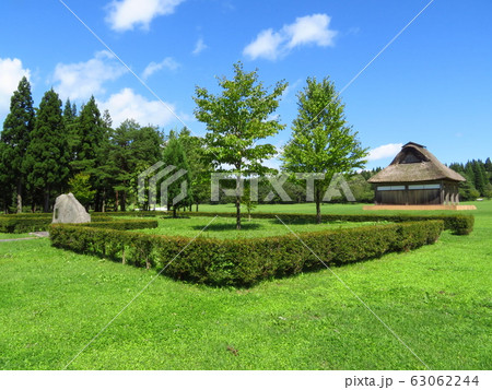秋田県立北欧の杜公園 両陛下お手植えの木 63062244