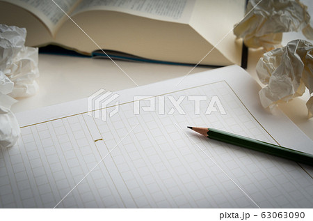 原稿用紙　執筆　著者　辞書 63063090