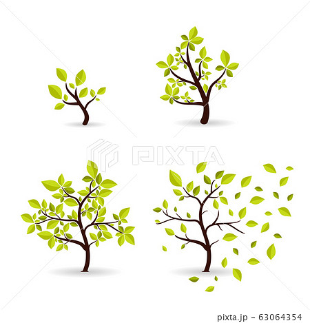 Vector botany concept cyclic growth of the tree. Vector botany concept cyclic growth of the tree. 63064354