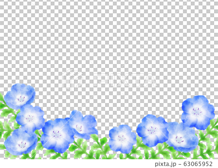 Nemophila frame Nemophila frame 63065952