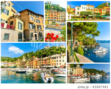 Beautiful bay with colorful houses in Portofino, 63067481