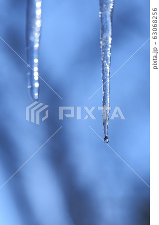 つらら ツララ 氷柱の写真素材 [63068256] - PIXTA
