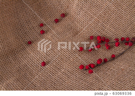 Red dry berries on a twig. 63069336