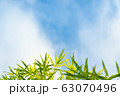 Bamboo and blue sky. 63070496