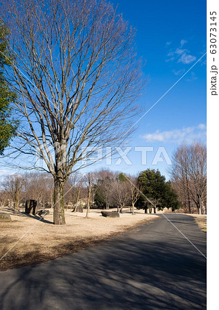 栃木県壬生町　わんぱく公園 63073145