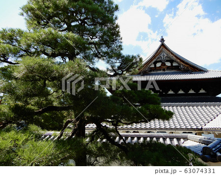相国寺　法堂と松 63074331