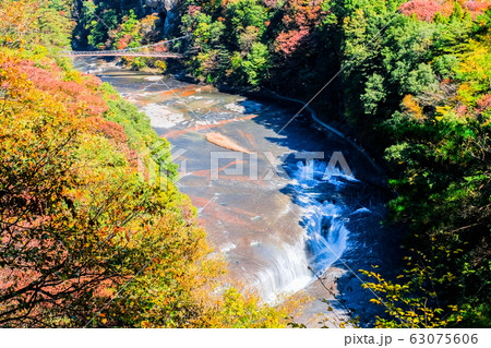 吹割の滝 （秋）：第一観瀑台より 63075606