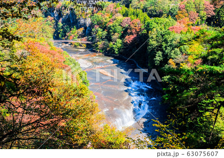 吹割の滝 （秋）：第一観瀑台より 63075607