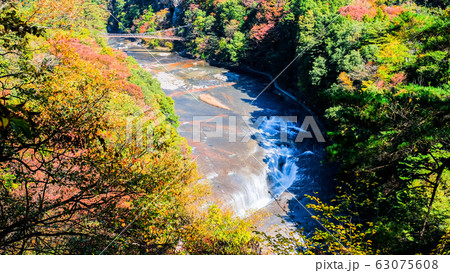 吹割の滝 （秋）：第一観瀑台より 63075608