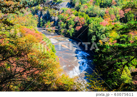 吹割の滝 （秋）：第一観瀑台より 63075611