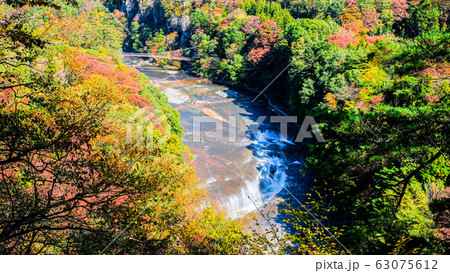 吹割の滝 （秋）：第一観瀑台より 63075612