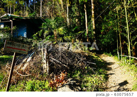 日和田山 男岩・女岩への近道登山道 日和田山 男岩・女岩への近道登山道 63075657