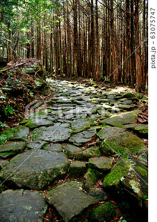 馬越峠への石畳道 馬越峠への石畳道 63075747