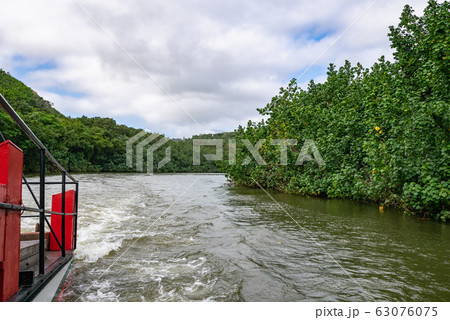 ハワイ カウアイ島 ワイルア川 シダの洞窟クルーズ 63076075