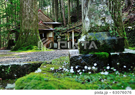バイカオーレン咲く滝神社 63076076